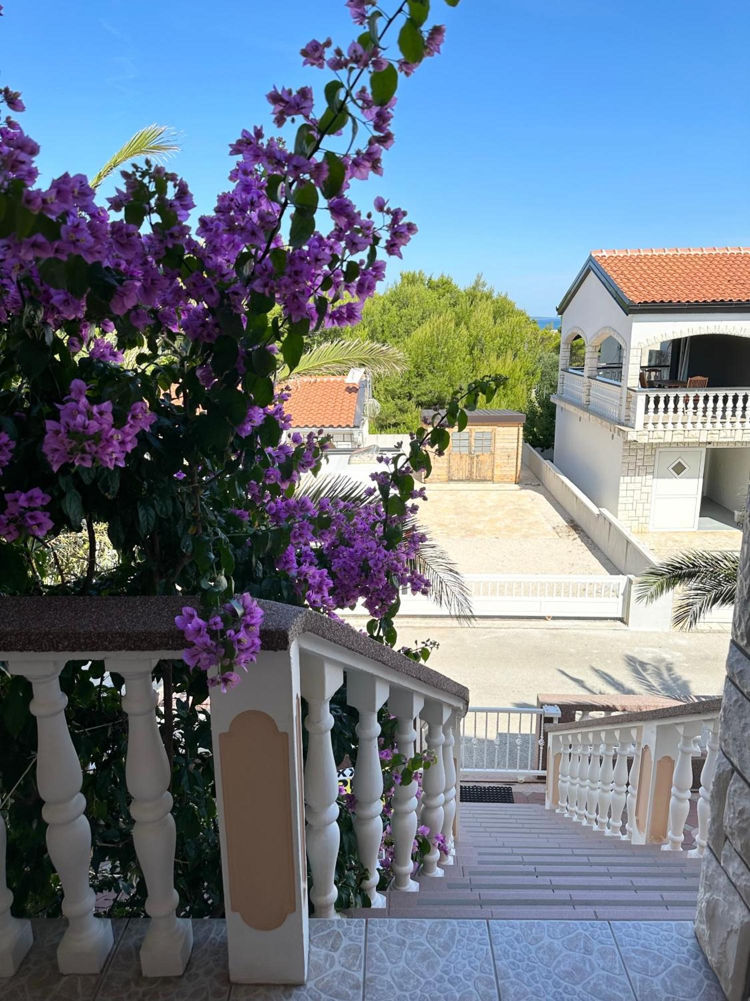 Apartmani Bermanec Vir Exterior foto